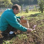 La Steccaia Alta