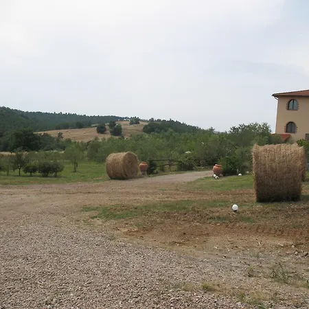 La Steccaia Alta * Paganico (Grosseto)