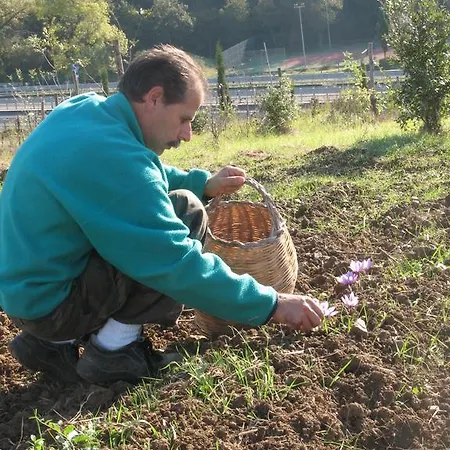 La Steccaia Alta