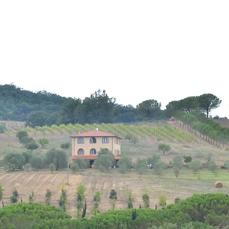 La Steccaia Alta